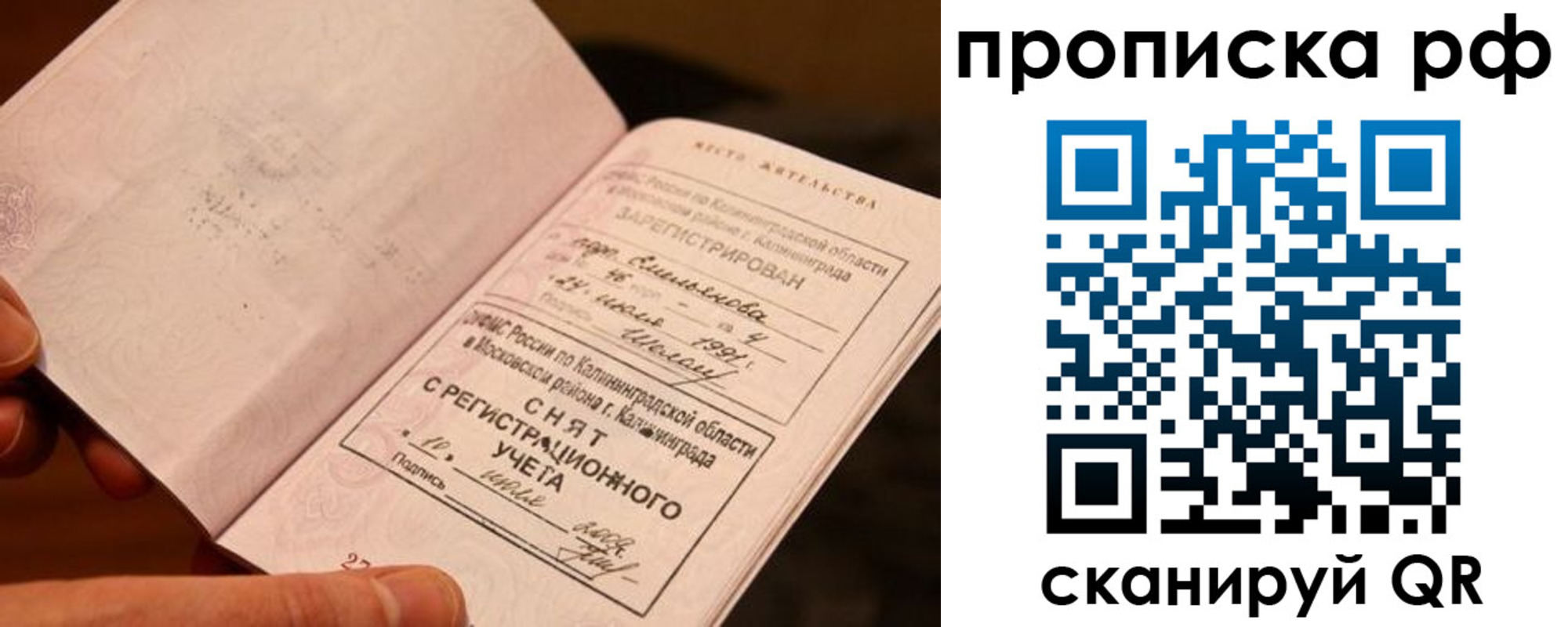 прописка гарантия в Сураже